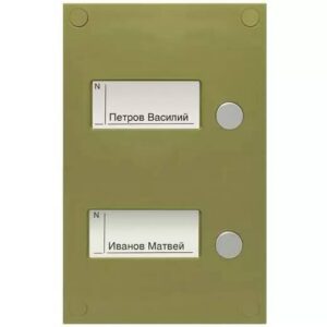 Панель VIZIT BS-424-2