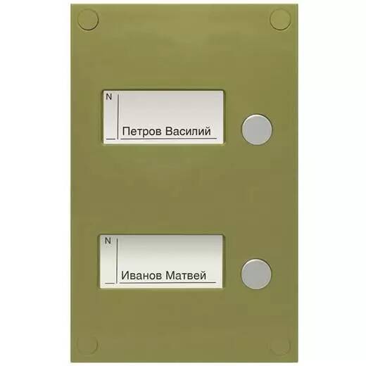Панель VIZIT BS-424-2