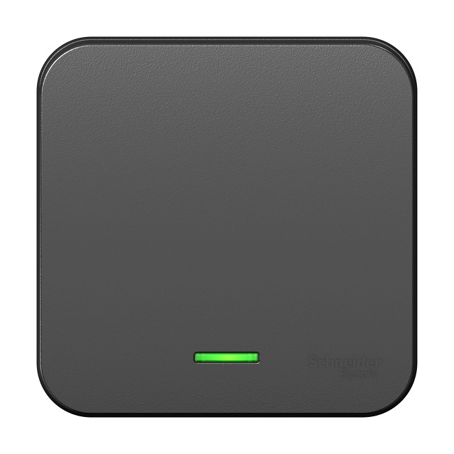 Переключатель Systeme Electric BLNVA106116