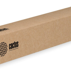 Холст Cactus CS-GC260-91430