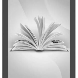Электронная книга Digma pro MOON 6