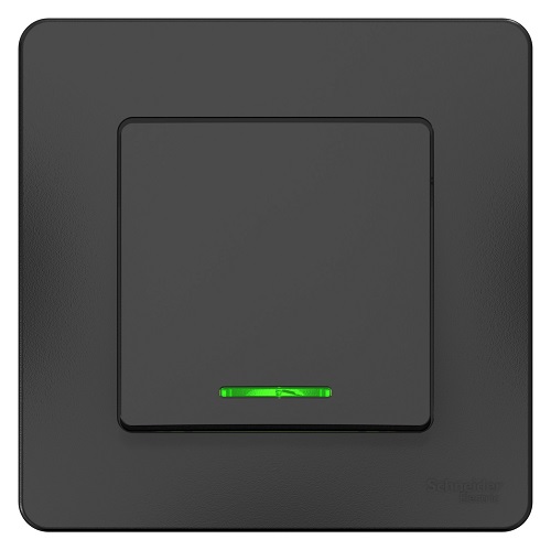 Выключатель Systeme Electric BLNVS010116