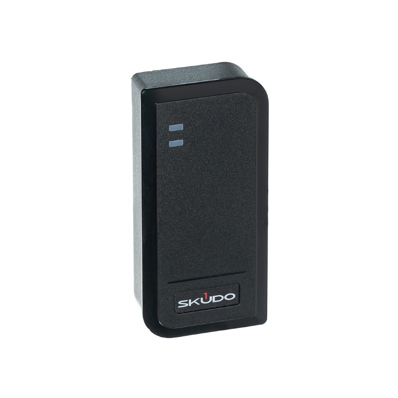 Считыватель Skudo SK-RP300E