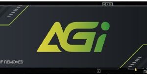 SSD накопитель 2048 ГБ AGI AI818, PCIe 4.0 x4, [AGI2T0G43AI818-CB]