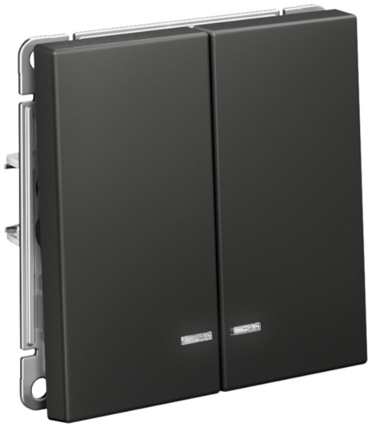 Выключатель двухклавишный с подсветкой Systeme Electric GAL001453S