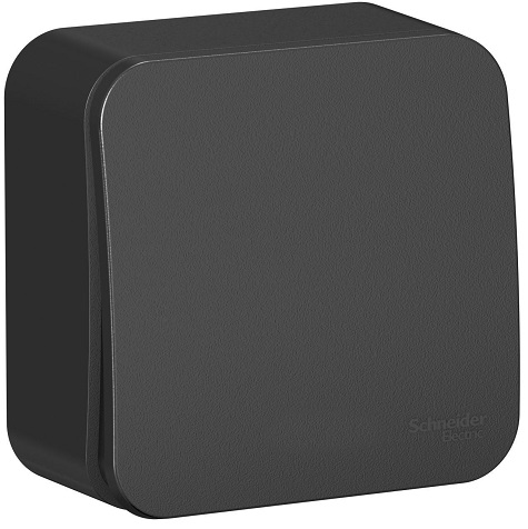 Выключатель Systeme Electric BLNVA101016