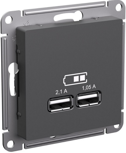 Розетка USB Systeme Electric ATN001433