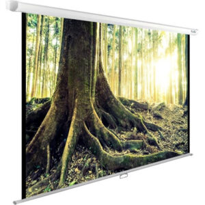 Экран Cactus CS-PSWE-220X220-WT