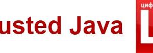 Право на использование Цифровые технологии Trusted Java на сервере