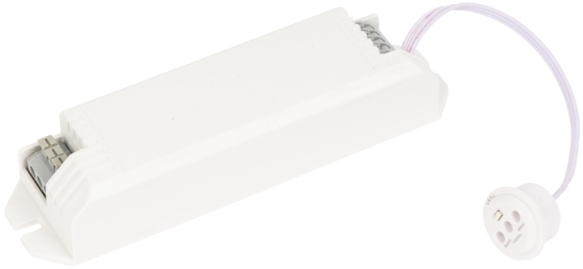 Блок аварийного питания (БАП) Бастион Rapan PL-2W3H