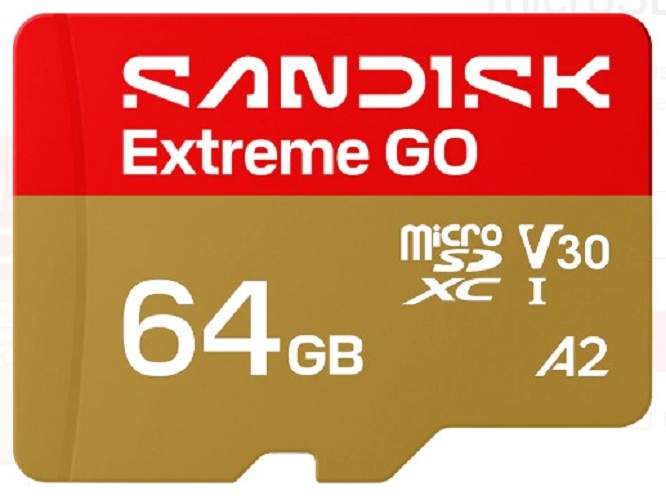 Карта памяти MicroSDXC 64Gb SanDisk Extreme Go