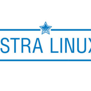 Право на использование ГК Астра ОС СН Astra Linux SE, Усиленный, ФСТЭК, х86-64, 1.8, электр, для раб.ст, бесср, обнов.Тип 5 на 12 мес