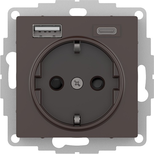 Розетка с заземлением с 2 USB Systeme Electric ATN000632