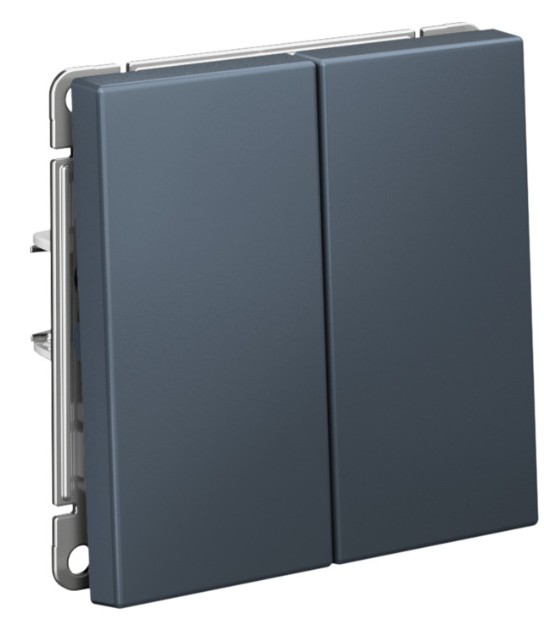 Выключатель двухклавишный Systeme Electric GAL000751S