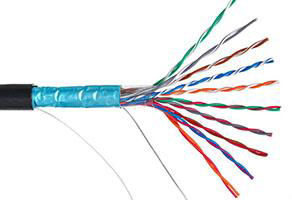 Кабель витая пара F/UTP 5e кат. 10 пар Netlan EC-UF010-5-PE-BK-3