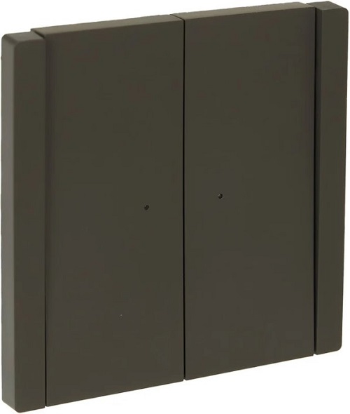Переключатель двухклавишный IEK FP-V22-1-10-1-K03