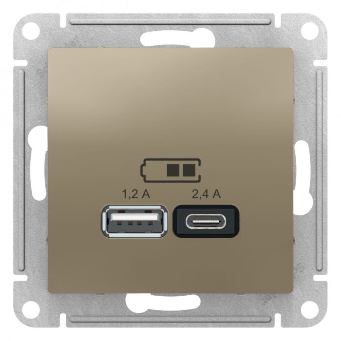 Розетка USB Systeme Electric ATN000539