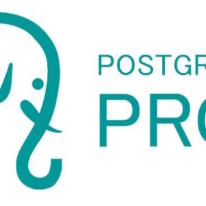 Право на использование (электронно) Postgres Pro СУБД Postgres Pro AC Enterprise для 1C на 1 ядро x86-64 Лицензия на 3 года