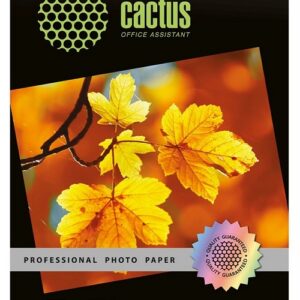 Фотобумага Cactus CS-HGA326050