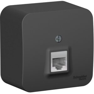 Розетка Systeme Electric BLNIA045006