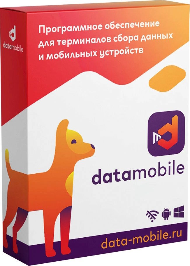 ПО DataMobile DMOnlineLite-DMOnline12m