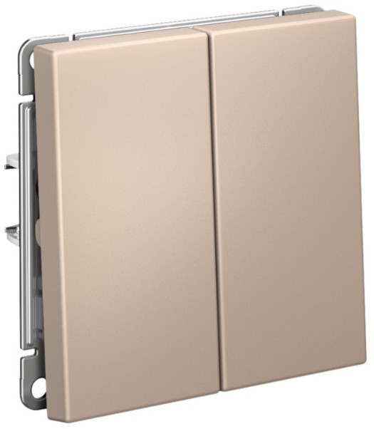 Выключатель двухклавишный Systeme Electric GAL001251S