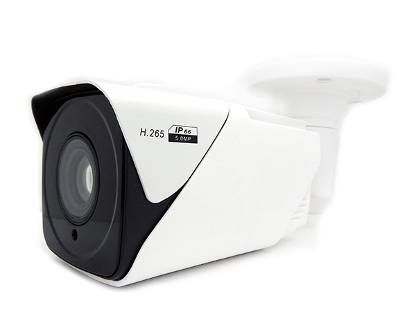Видеокамера IP ComOnyx CO-RS24P