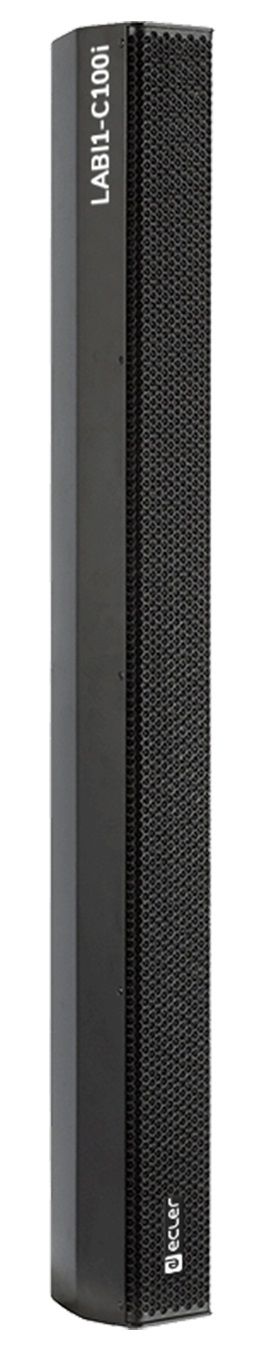 Линейный массив Ecler LABI1-C100i