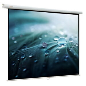 Экран Viewscreen Lotus WLO-4306