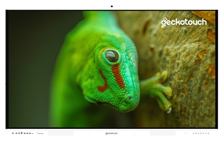 Интерактивный комплекс Geckotouch 65RT