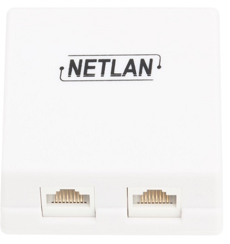 Компьютерная розетка настенная Netlan EC-UWO-2-UD2-WT-10