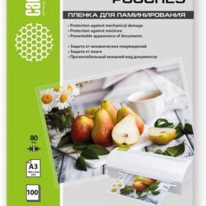 Пленка Cactus CS-LPGА380100