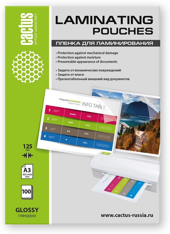 Пленка Cactus CS-LPGА3125100