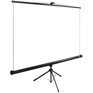 Экран Cactus CS-PSTE-220X165-BK