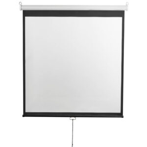 Экран Digis Optimal-D 248x250см MW (DSOD-1107)