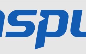 Салазки INSPUR Insp_DT2