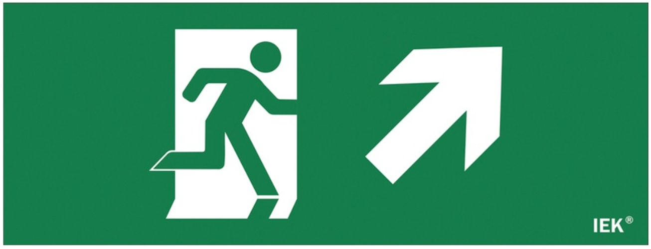 Знак Наклейка IEK LPC10-1-24-09-FVVNAPR