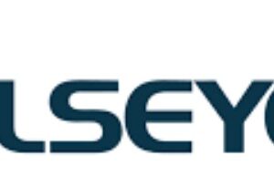 Радиатор ALSEYE AS.03.03.0083