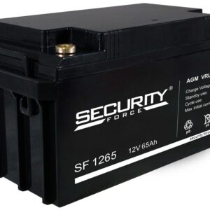 Аккумулятор Security Force 12 В, 65 Ач