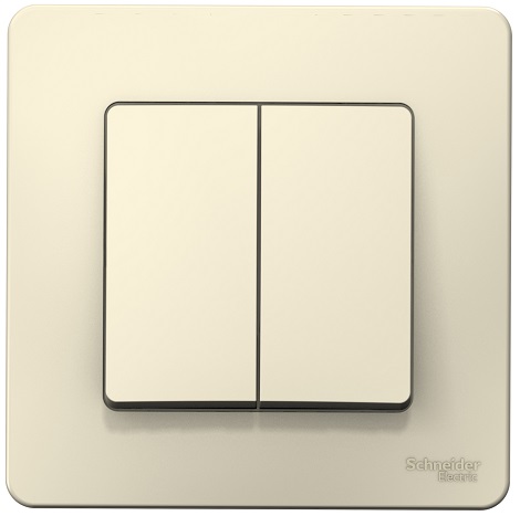 Выключатель Systeme Electric BLNVS010502