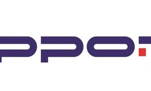 Шкаф Ippon 40/65 (2043956)