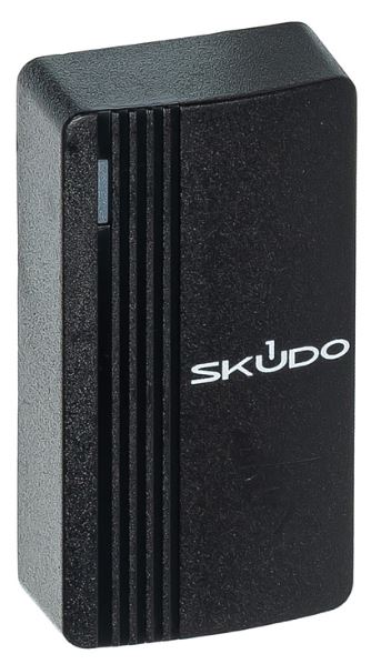 Считыватель Skudo SK-RP100E
