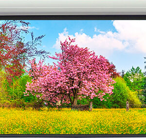 Экран Lumien LMLC-100116A