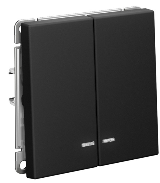Выключатель двухклавишный с подсветкой Systeme Electric GAL001053S