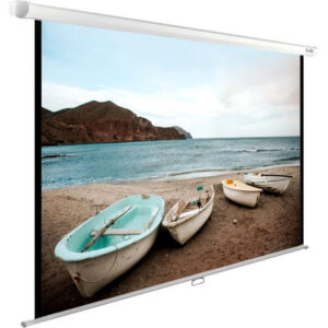Экран Cactus CS-PSWE-220X138-WT