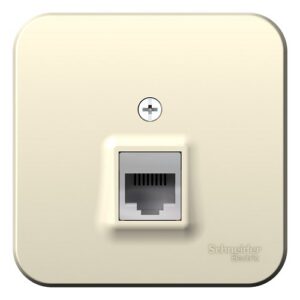 Розетка Systeme Electric BLNIA045002