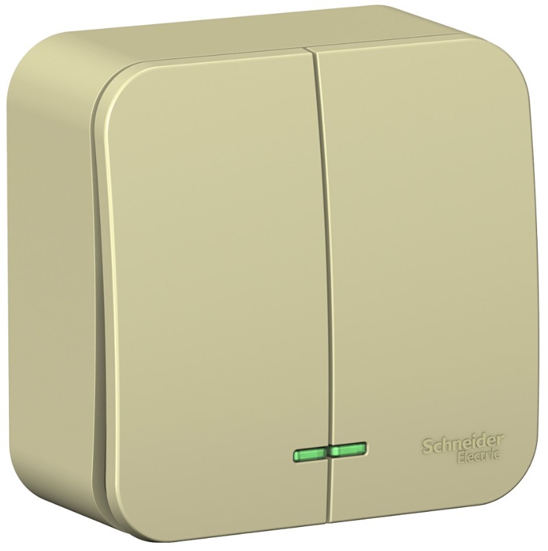 Выключатель двухклавишный Systeme Electric BLNVA105117