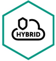 Право на использование (электронно) Kaspersky Security для виртуальных и облачных сред, Server. 5-9 VirtualServer 1 year Renewal