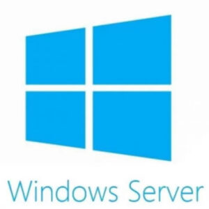 ПО (комплект) ОЕМ Microsoft Windows Svr Datacntr 2025 64Bit English 1pk DSP OEI DVD 16 Core