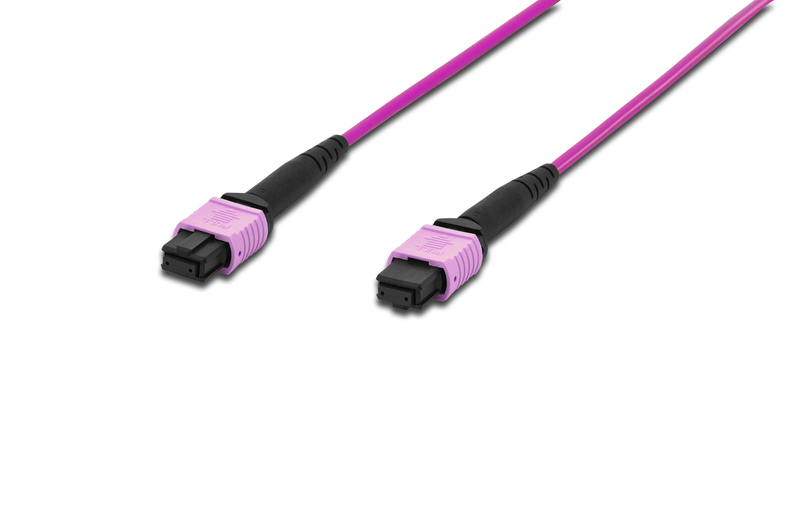 Кабель Lanmaster LAN-12M-12M/OM4B-10